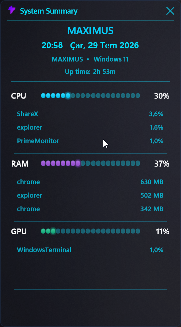 System summary and top-process telemetry widget
